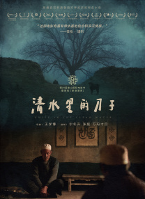 久久99精品久久久久久三级